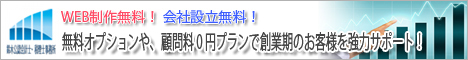 スタートアップ期支援プラン